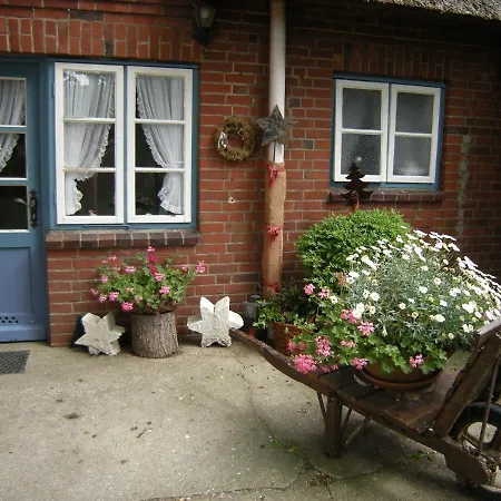 Haus Wolltoft Haus Wolltoft - Fewo 08 Morgenstern Apartamento Nieblum